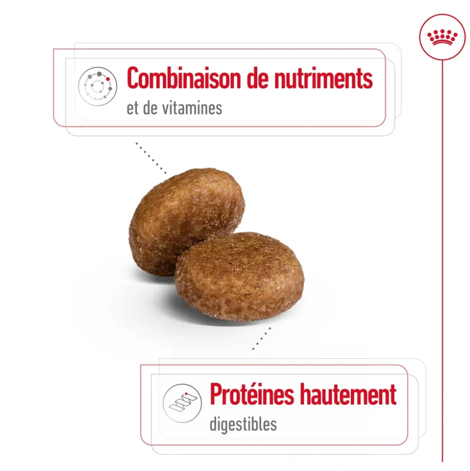 ROYAL CANIN - Croquettes chien grande taille de + 5 ans Maxi Adult 5+ 15kg
