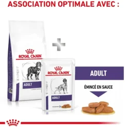 ROYAL CANIN - Croquettes chien veterinary dog adult large - royal canin 13 kg