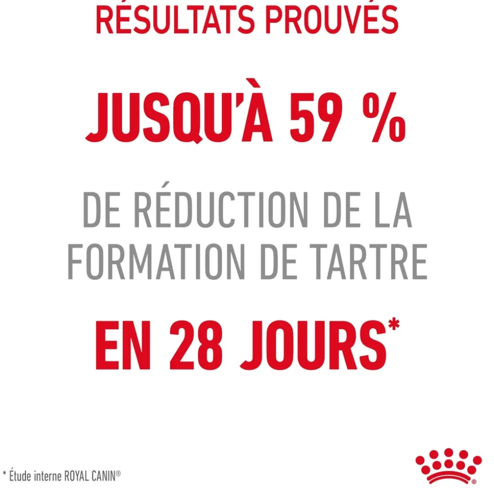 ROYAL CANIN - Croquettes pour chat limitant la formation de tartre Dental Care 1,5kg