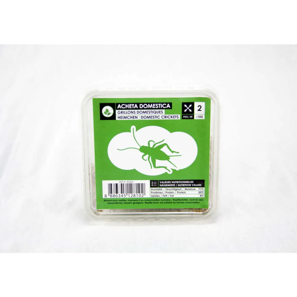 STOFFELS - Grillons alimentation reptiles, taille M, environ 120 pièces
