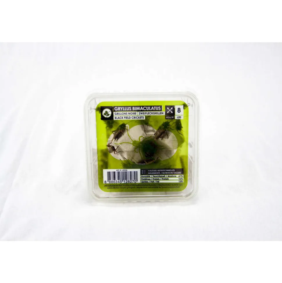 STOFFELS - Grillons noirs alimentation reptiles, taille L, 20 pièces