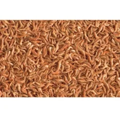 TETRA - Crevettes séchés 250ml/20g reptodelica pour les tortues d'eau