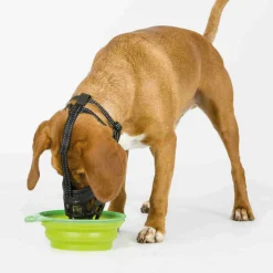 TRIXIE - Muselière muzzle flex, en silicone. Taille: m. Pour chien type border colli