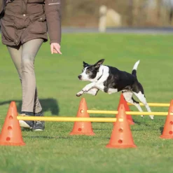 TRIXIE - Set d'obstacles 6 cônes 3 piquets • parcours agilité chiens