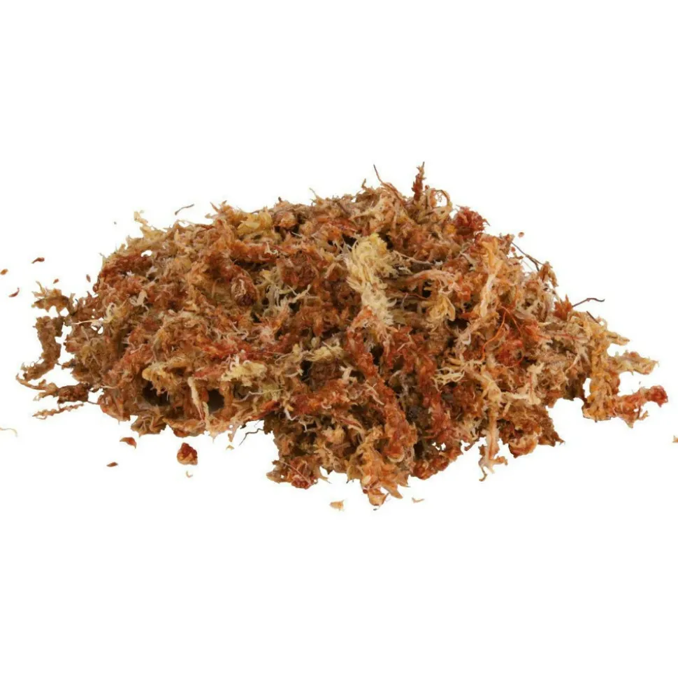 TRIXIE - Sphaigne mousse de shagnum 100 g 4.5 litres reptile