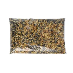 TRUFFAUT BIODIVERSITÉ - Mélange de graines pour oiseaux du jardin - 1 kg
