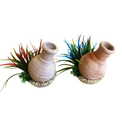 TYROL - Décor aquarium Tyrol whisky jarre plantes