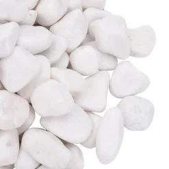 VIDAXL - Galets polis 10 kg blanc 2-5 cm