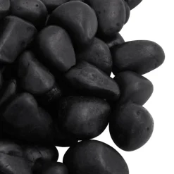 VIDAXL - Galets polis 25 kg noir 2-5 cm