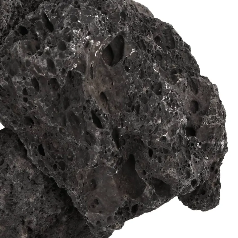 VIDAXL - Roches volcaniques 25 kg noir 10-30 cm
