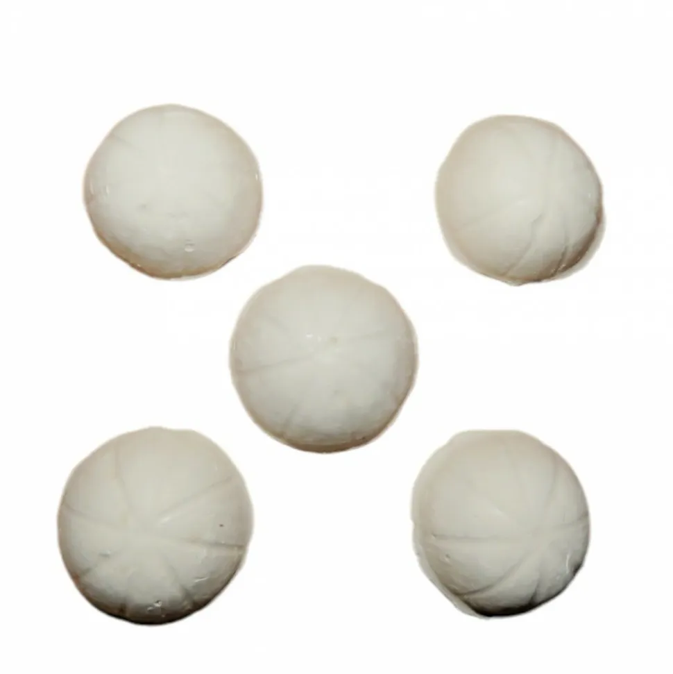 ZOLUX - 5 blocs vacance 2 jours nanolife pour poisson d'agrément 20 gr