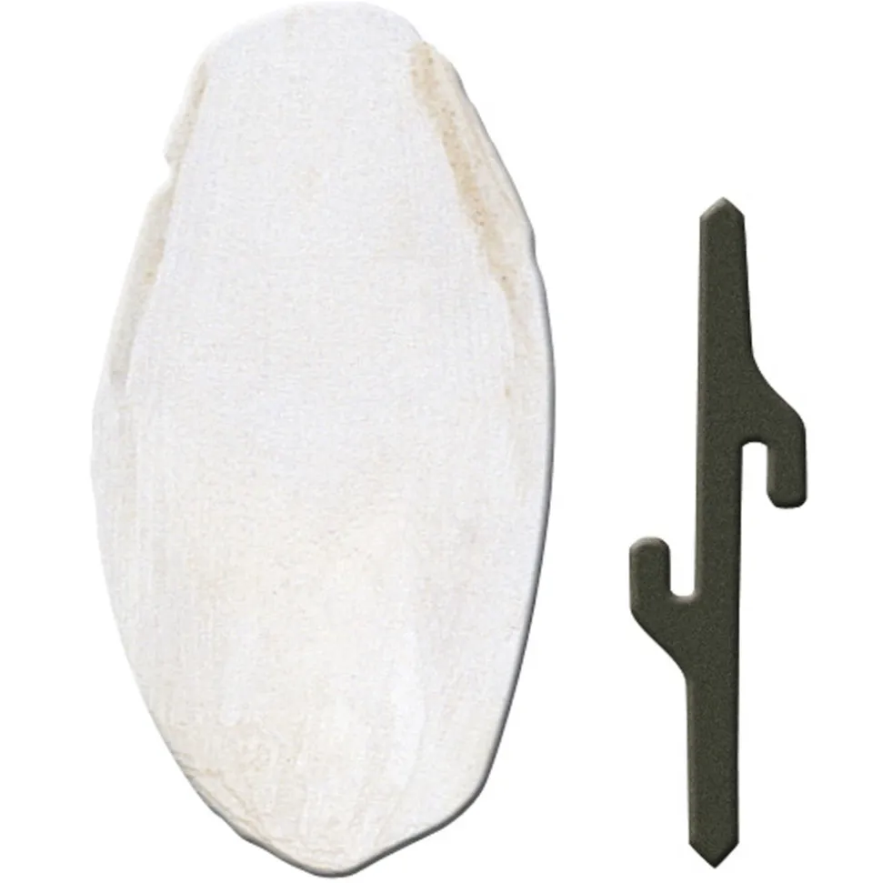 Accessoires pour cages à oiseaux ferplast os de seiche fpi 4330 canaris