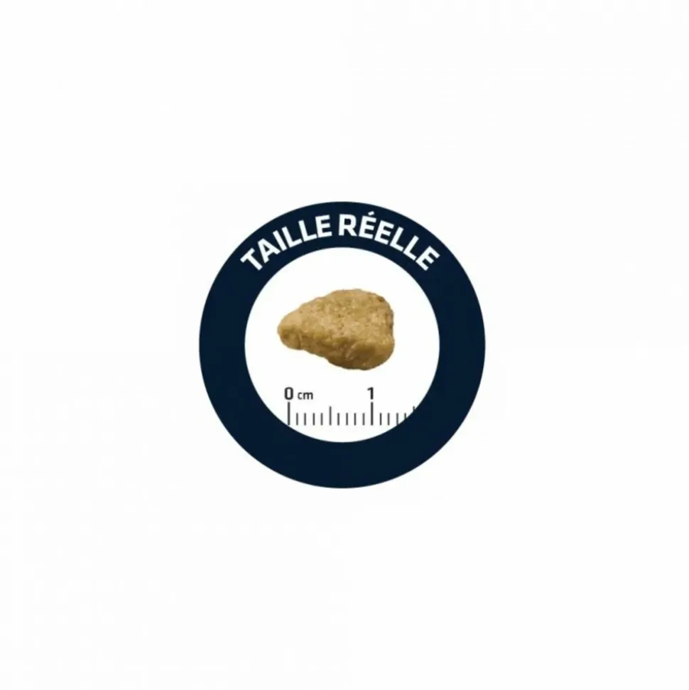 ADVANCE - Croquettes chat adulte sensitive sterilized saumon - advance 10 kg