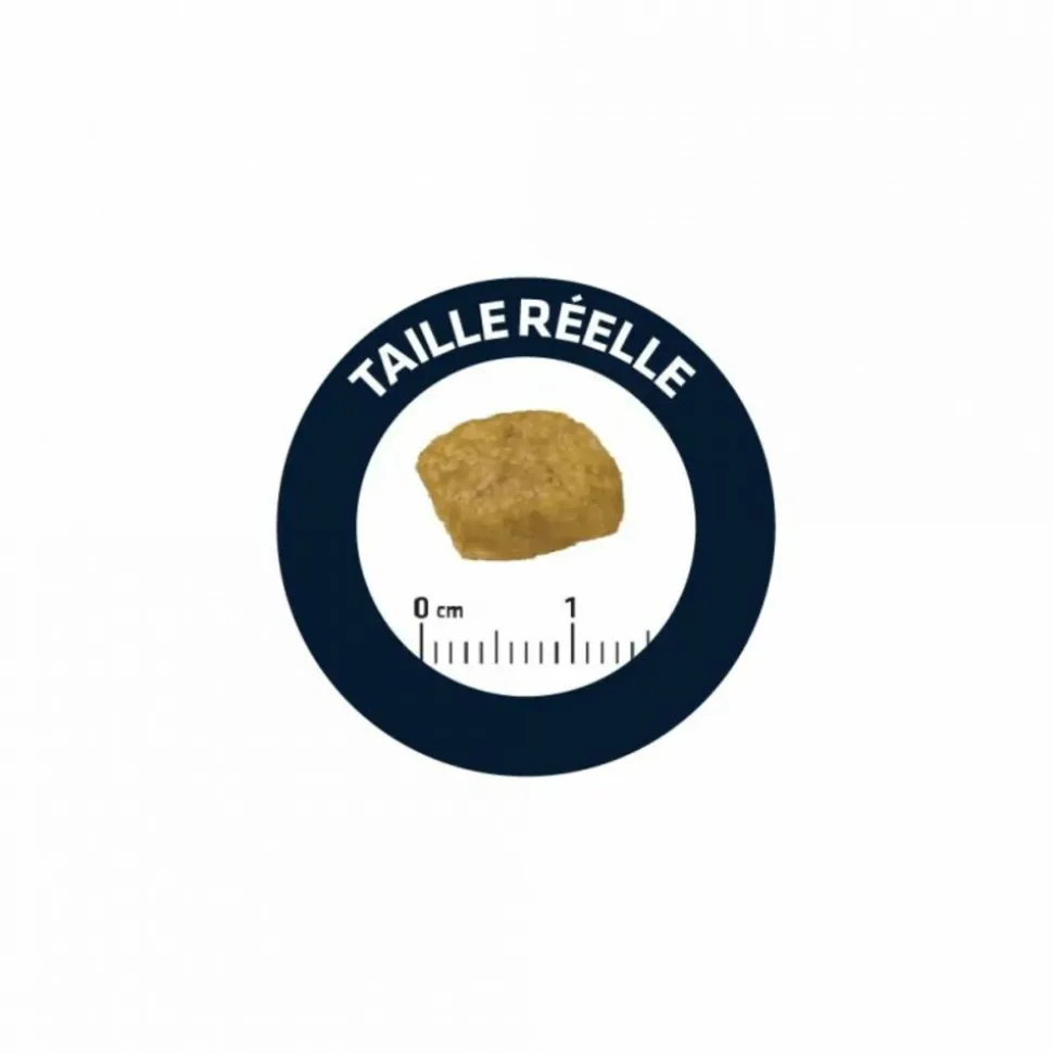 ADVANCE - Croquettes chat veterinary diet renal failure - advance 8 kg