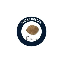 ADVANCE - Croquettes chien maxi light - advance 12 kg