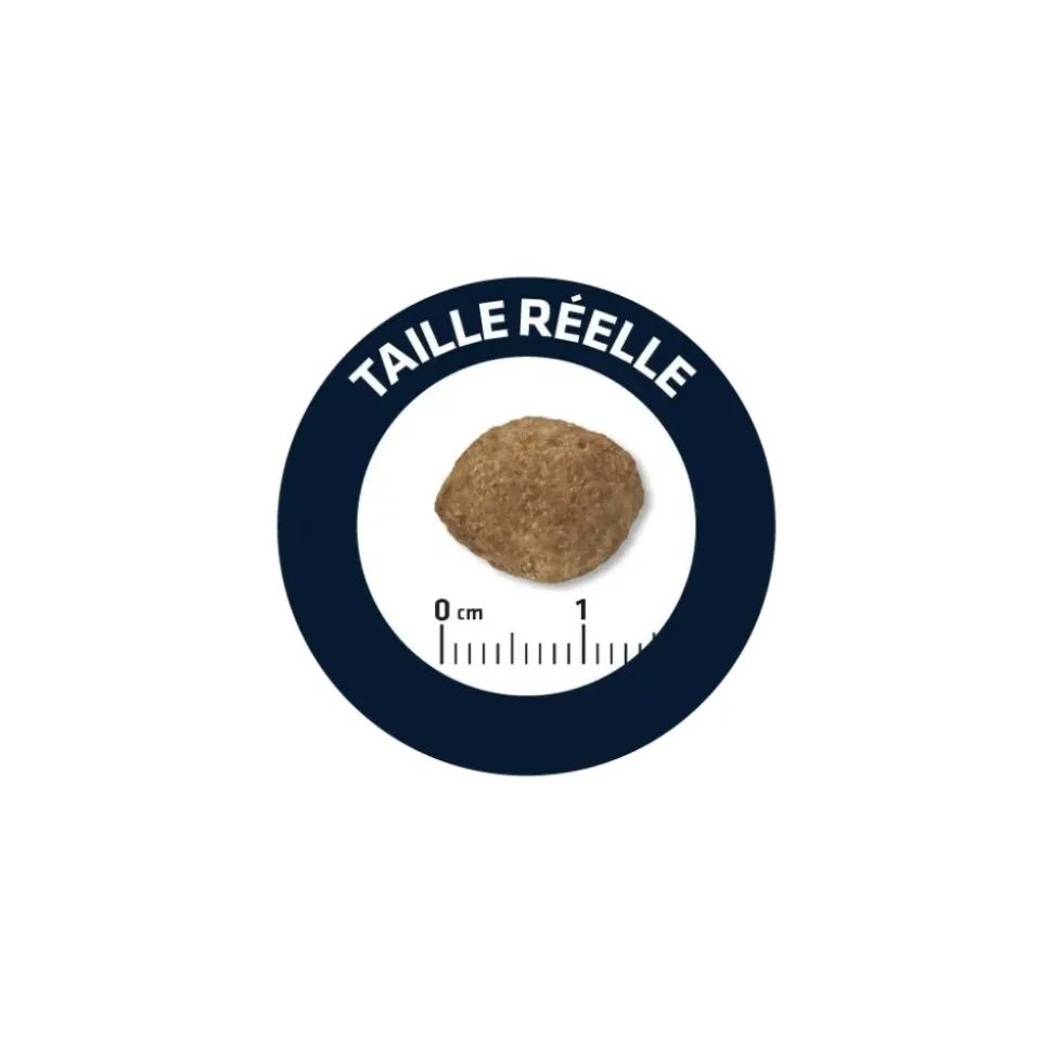ADVANCE - Croquettes chien maxi light - advance 12 kg
