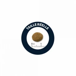 ADVANCE - Croquettes chien maxi puppy - advance 3 kg