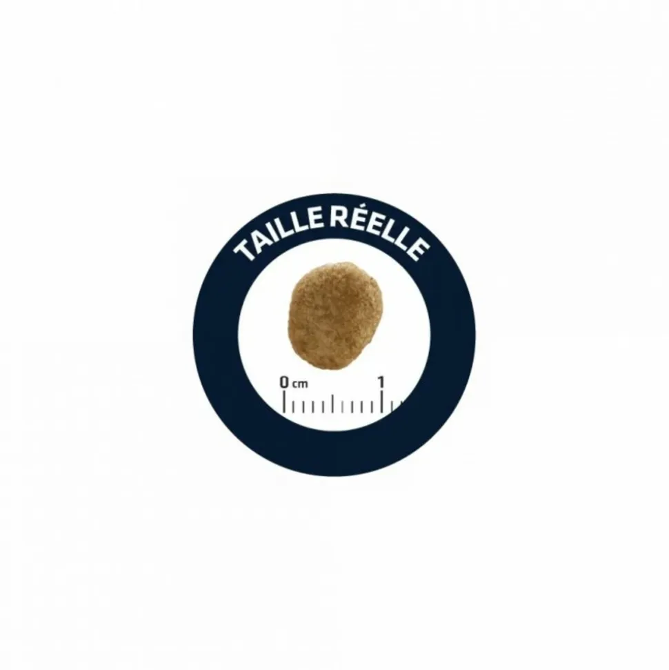 ADVANCE VETERINARY DIETS - Croquettes chat veterinary diet weight balance - advance 1.5 kg