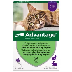 ADVANTIX - Antiparasitaire pour chat/lapin de plus de 4 kilos : 4 pipettes