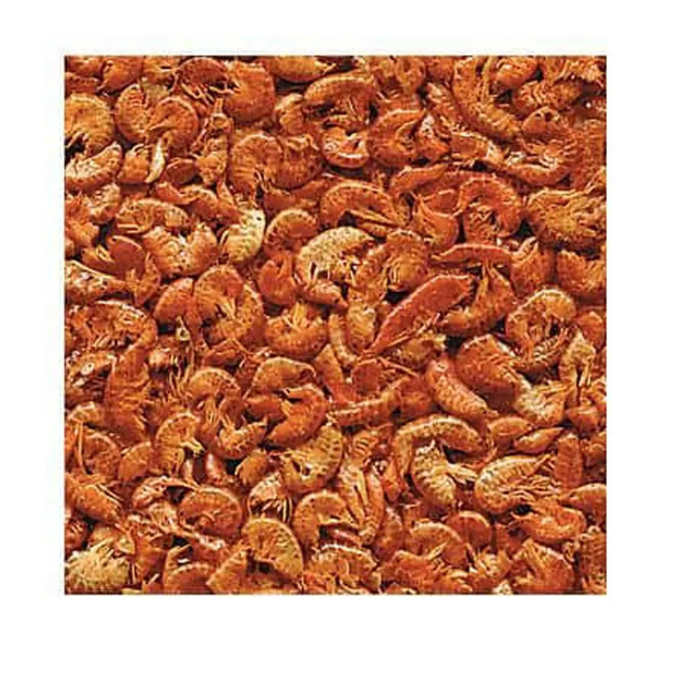 ANIMALLPARADISE - Gammarus, aliment naturel pour aquariophilie 100 g pour tortues d'eau