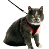 ANIMALLPARADISE - Harnais pour grand chat, couleur noir et rouge, taille l, réglable