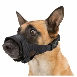 ANIMALLPARADISE - Muselière sangle taille m-l pour chien beagle, dalmatien