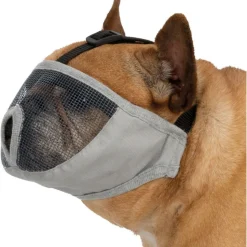 ANIMALLPARADISE - Muselière taille s-m pour les races de chien à nez court