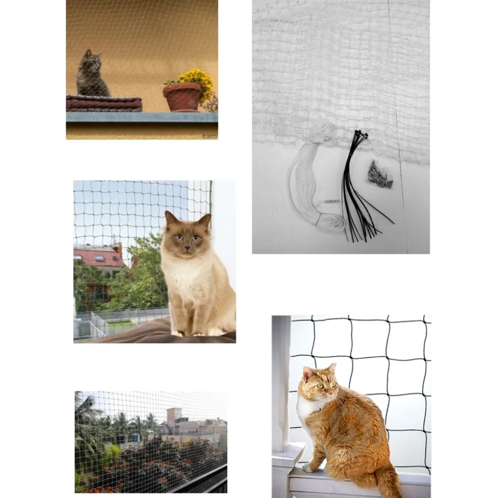 ANKA - Filet de balcon anti morsures pour chat : moyen modèle