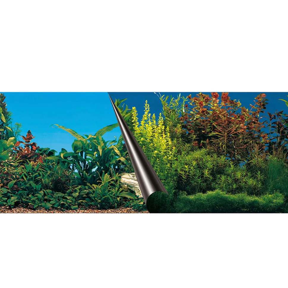AQUA DELLA - Poster fond d'aquarium Beauty & Sea 60x30cm