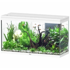 AQUATLANTIS - Aquarium équipé Splendid Led 2.0 Blanc L.100xP.40xH.61cm
