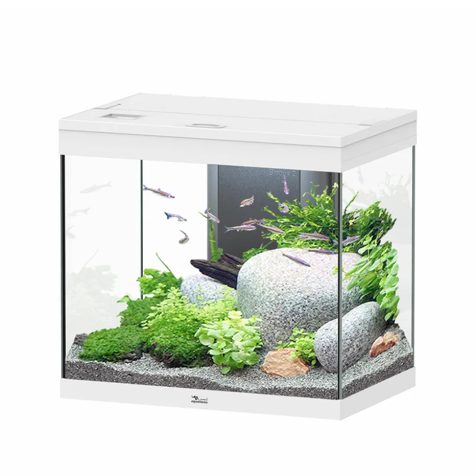 AQUATLANTIS - Aquarium équipé Splendid Led 2.0 Blanc L.60xP.40xH.56cm