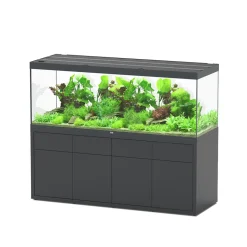 AQUATLANTIS - Meuble avec aquarium Sublime en bois gris - 198,5x68,8x83 cm
