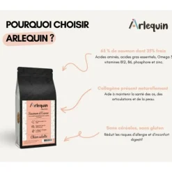 ARLEQUIN IRRESISTIBLE - Croquette chien superfood sans céréales arlequin irrésistible saumon d'ecosse 2 kg