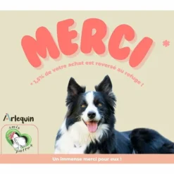 ARLEQUIN ORIGINELLE - Croquette chien sans céréales arlequin originelle poulet 12 kg