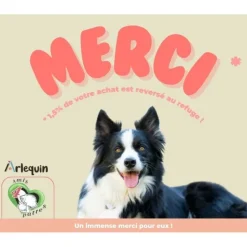 ARLEQUIN ORIGINELLE - Croquette chien sans céréales light arlequin originelle saumon truite 2 kg