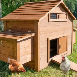 BB LOISIR - Poulailler en bois pour jardin extérieure cage canard équipé 2 nichoirs 185 x 84 x 112 cm modèle 154 ferme de terrain