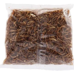 BEST FOR BIRDS - Vers de farine séchés 125 gr