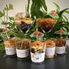 Cocktail - lot de 5 cocktails (1 cocktail offert)