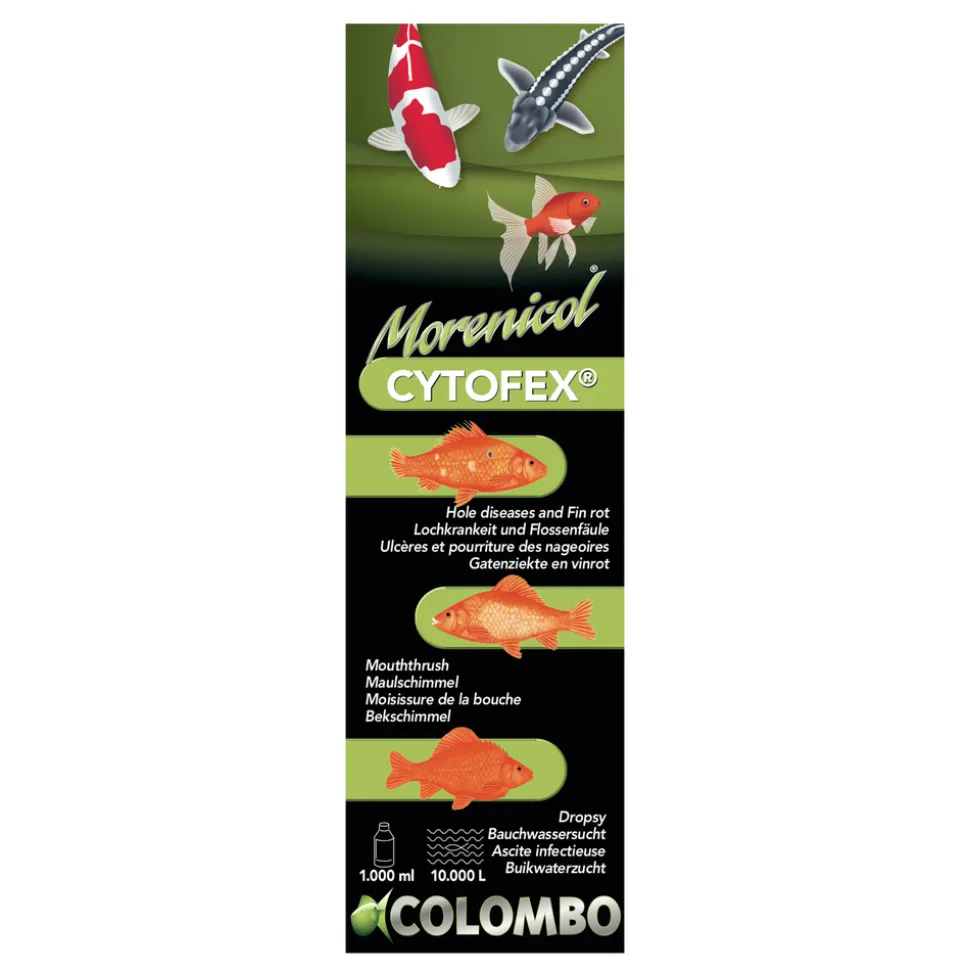 COLOMBO - Traitement contre les infections bactériennes Cytofex 1L /10,000L