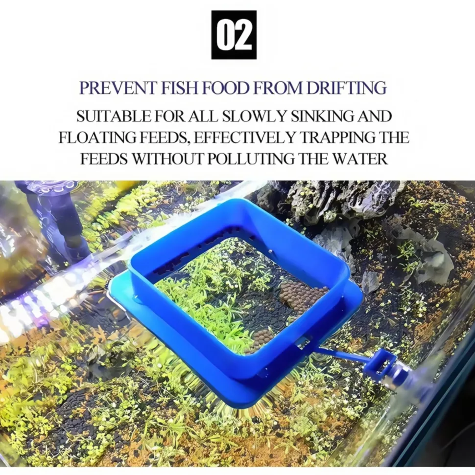 DOWNYPAWS - Anneau d'alimentation flottant pour aquarium - anti - dispersion, pour petits poissons tropicaux