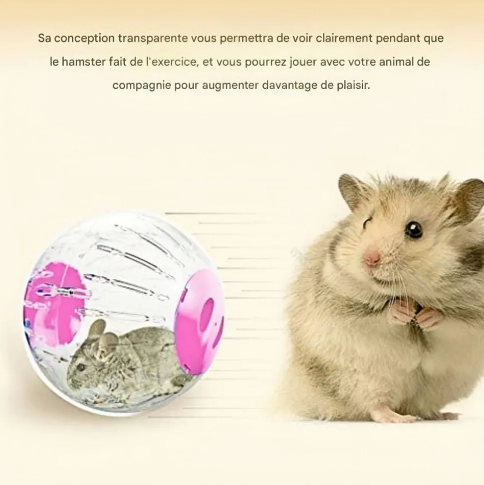 DOWNYPAWS - Balle d'exercice - saine et sûre