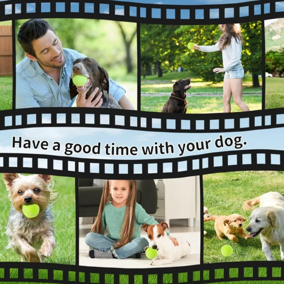 DOWNYPAWS - Balle jouet pour chien tennis(12 pièces), en caoutchouc et feutre de haute qualité, compatible lanceur 6 cm