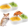 DOWNYPAWS - Bol céramique - forme de carotte, compact et facile à nettoyer