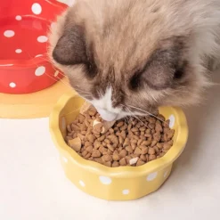 DOWNYPAWS - Bol céramique pour chat - anti-bascule & hygiénique