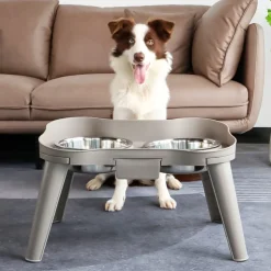 DOWNYPAWS - Bol en acier inoxydable pour chat et chien