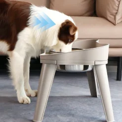 DOWNYPAWS - Bol en acier inoxydable pour chat et chien