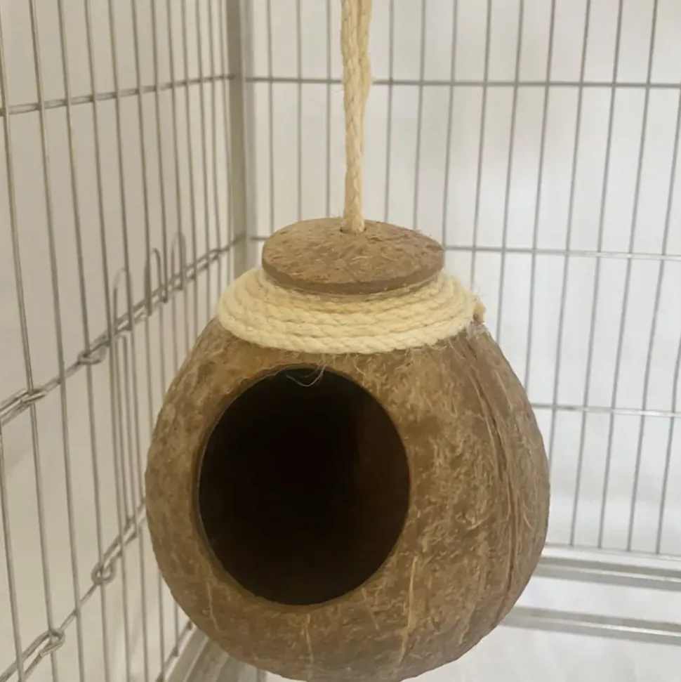 DOWNYPAWS - Boîte d'oiseau en coque de noix de coco pour la reproduction et la décoration chaîne de chapeau de paille