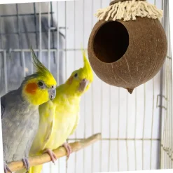 DOWNYPAWS - Boîte d'oiseau en coque de noix de coco pour la reproduction et la décoration type de cordon