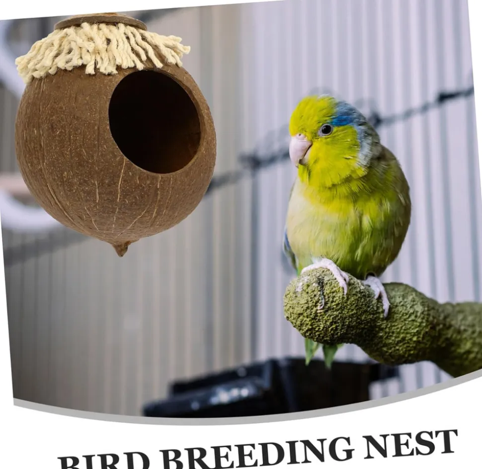 DOWNYPAWS - Boîte d'oiseau en coque de noix de coco pour la reproduction et la décoration type à vis