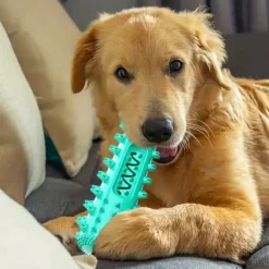 DOWNYPAWS - Brosse à Dents Durable Pour Chien - Jouet à Mâcher Et Soin Dentaire
